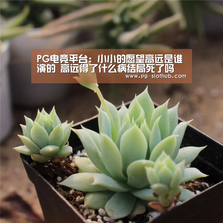 PG电竞平台：小小的愿望高远是谁演的 高远得了什么病结局死了